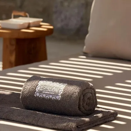 Leblon Mykonos Villa